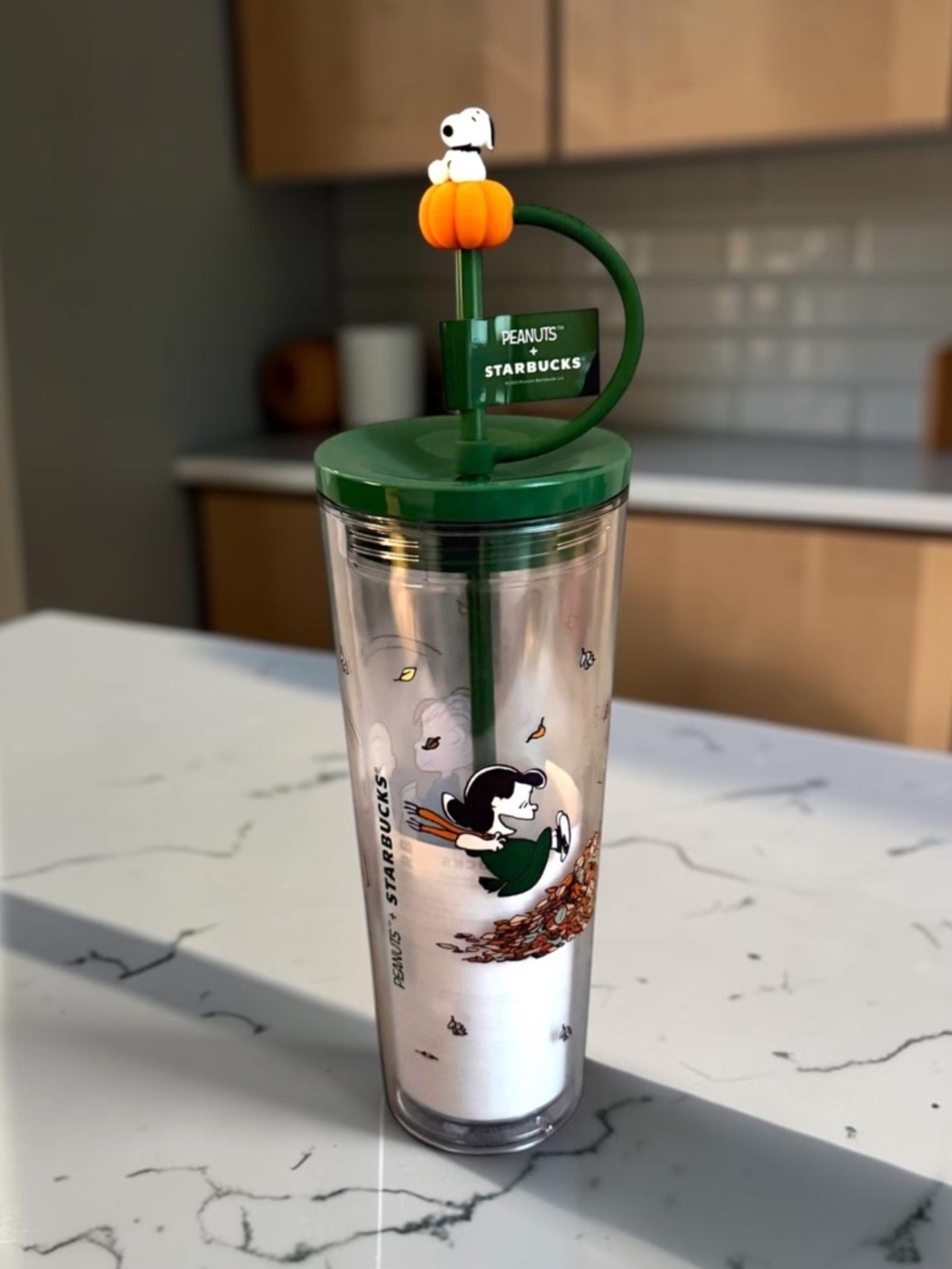 Starbucks x Peanuts Snoopy Pumpkin Cold Cup Tumbler 24oz Fall 2026 NEW